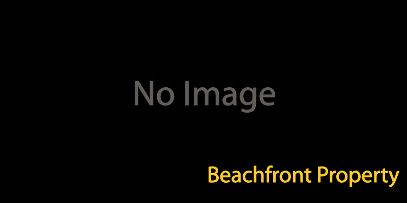 사진없음